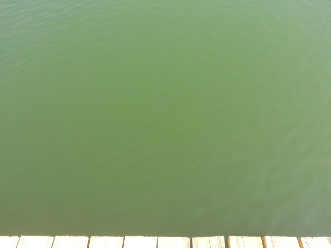 20150320_132115.jpg