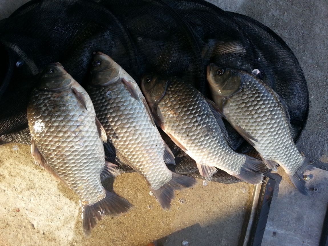 20150319_163331.jpg