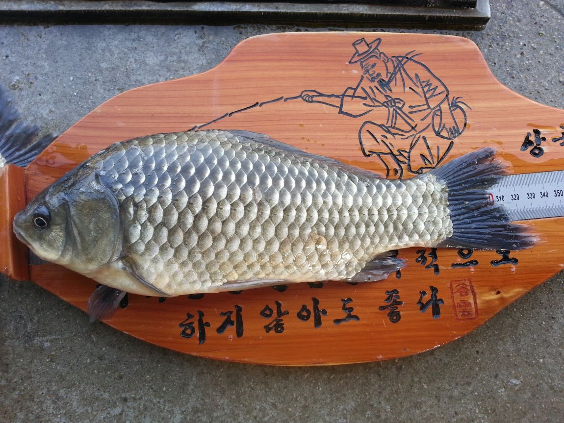 20150319_163223.jpg