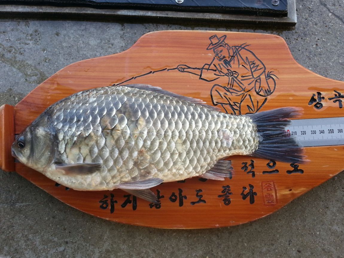 20150319_163004.jpg