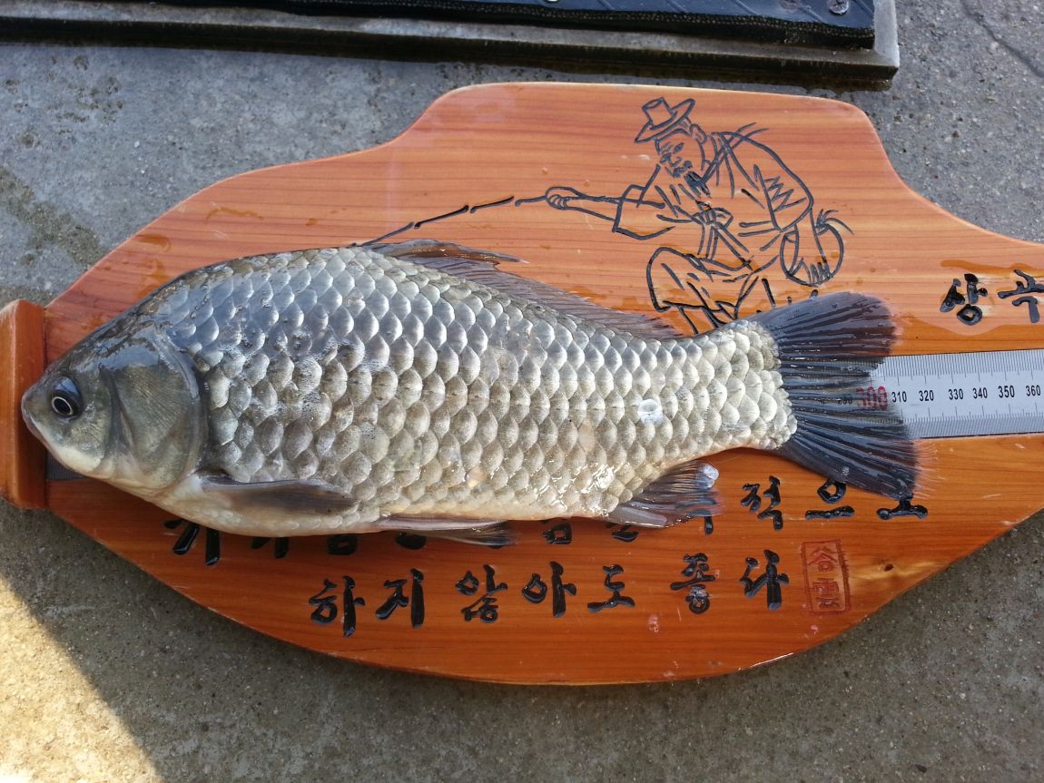20150319_163056.jpg