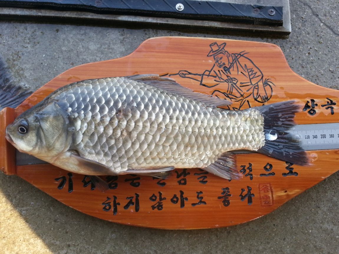 20150319_163143.jpg