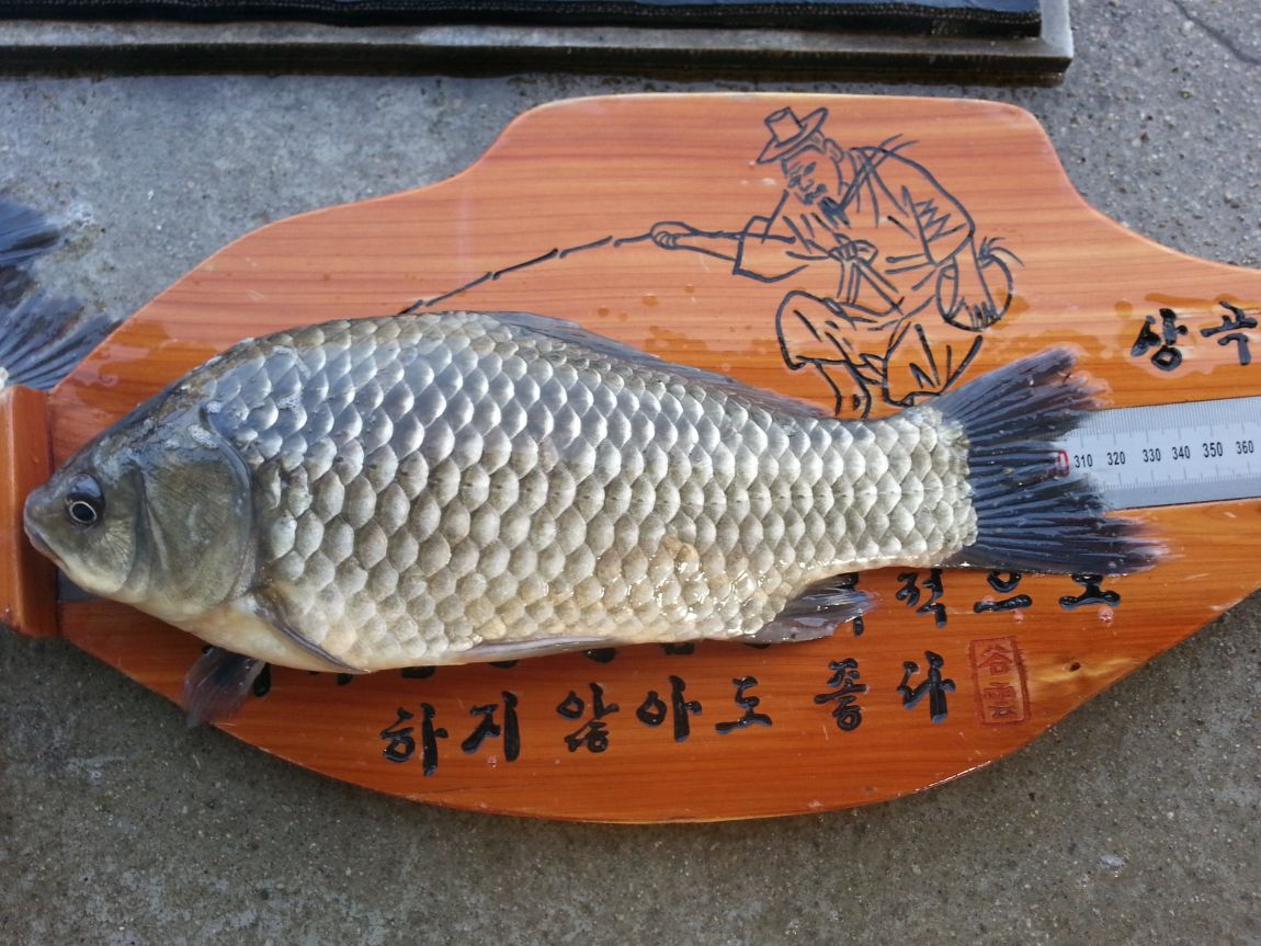 20150319_163217.jpg
