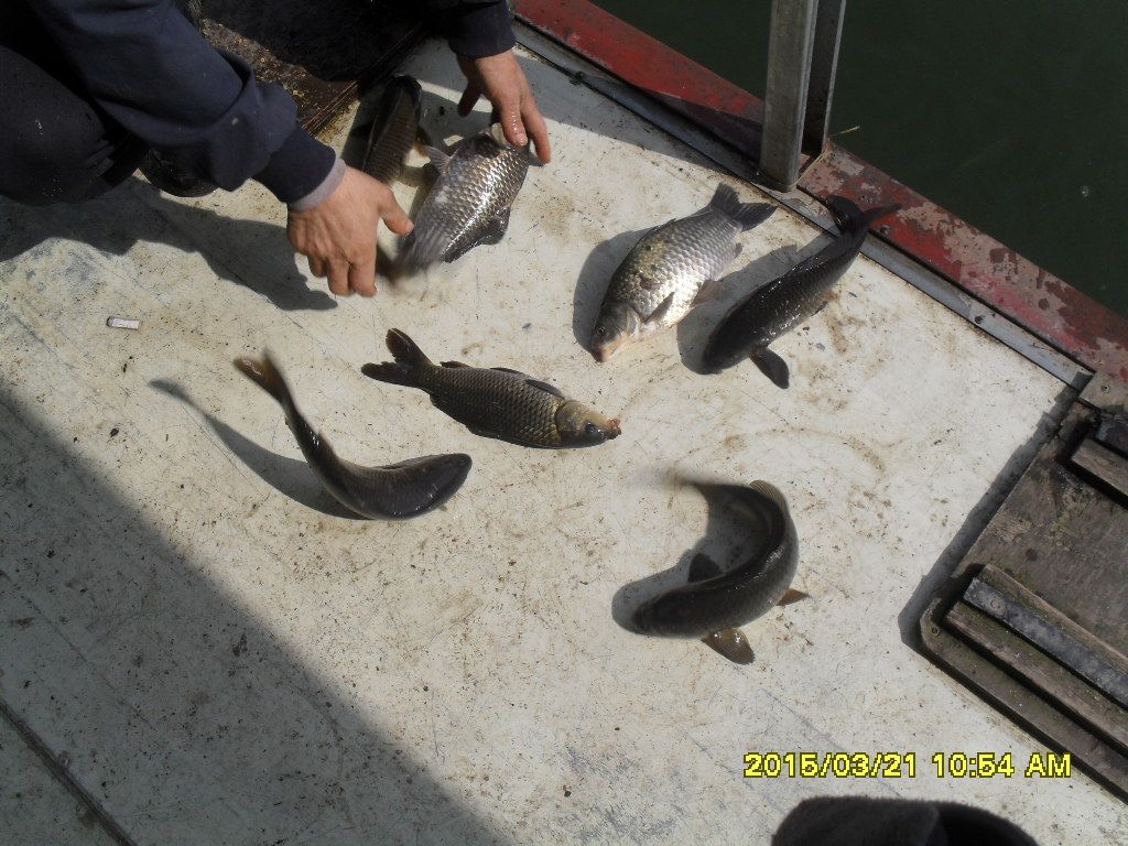 SDC18280.JPG