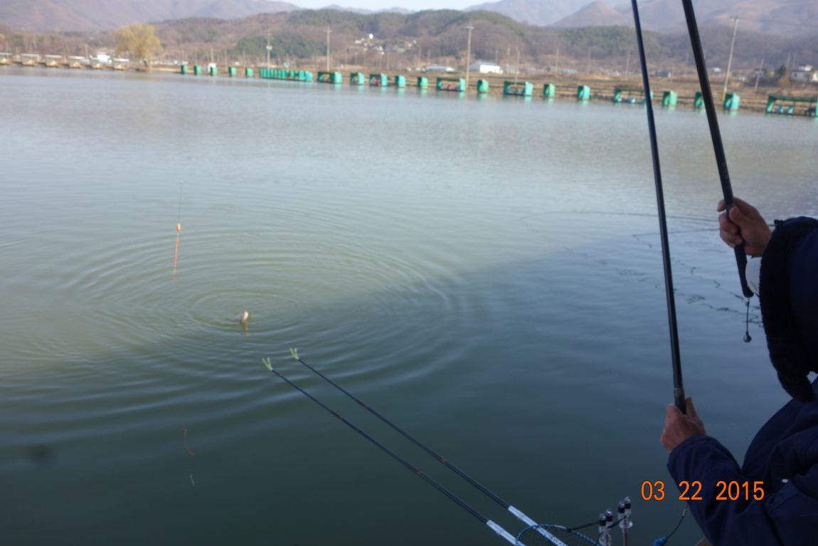 ٹ̱_DSC04261 - 纻.JPG