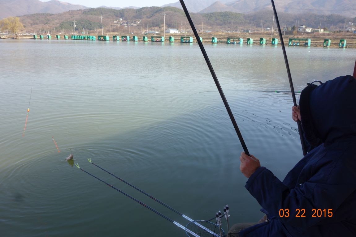 ٹ̱_DSC04262 - 纻.JPG