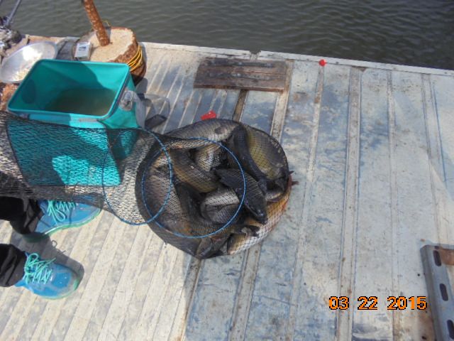DSC00991.JPG