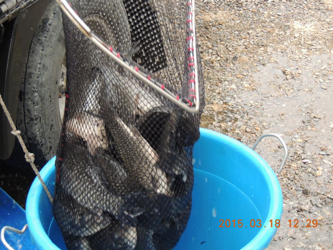 DSCN3864.JPG