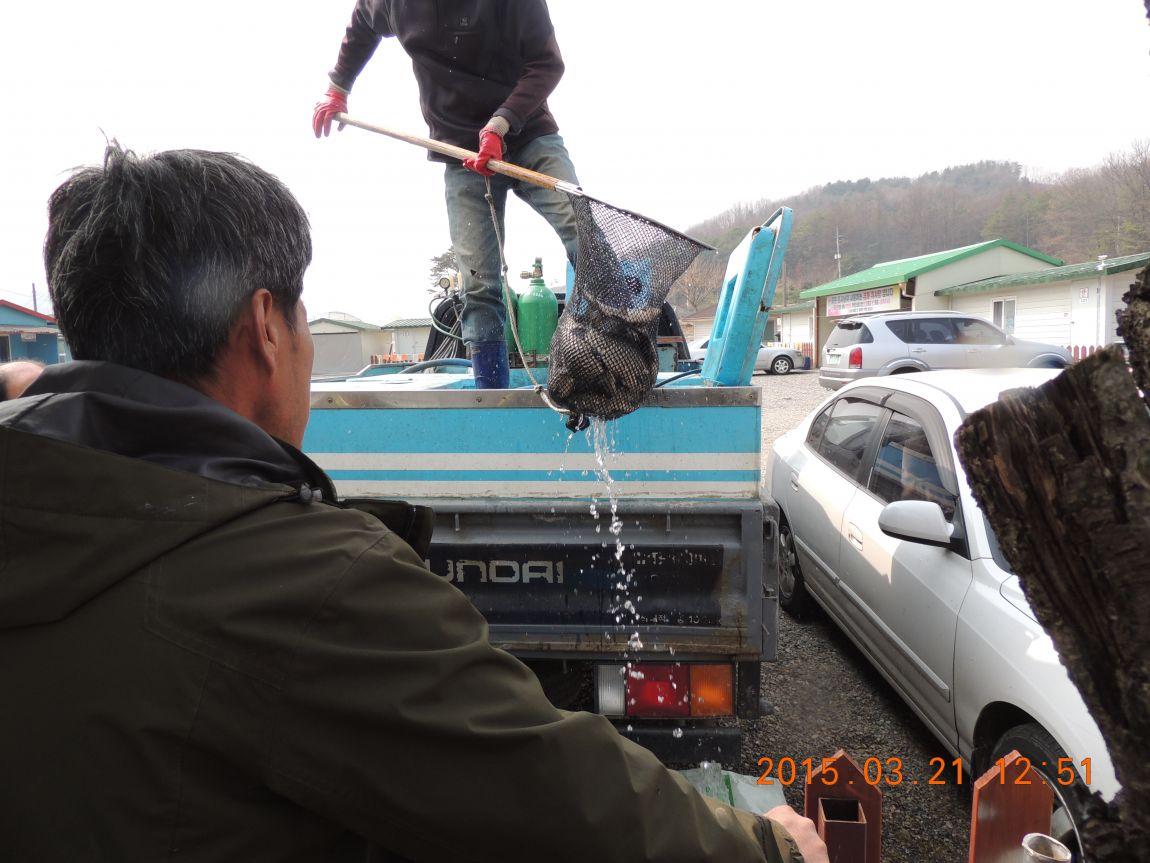 DSCN3896.JPG