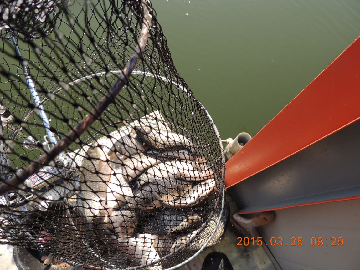 DSCN3918.JPG