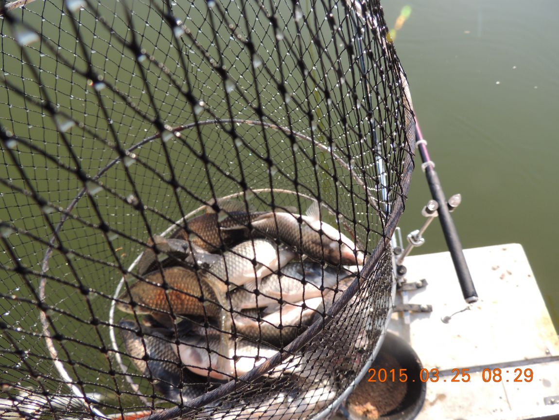DSCN3919.JPG