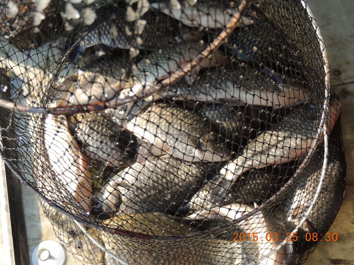 DSCN3920.JPG