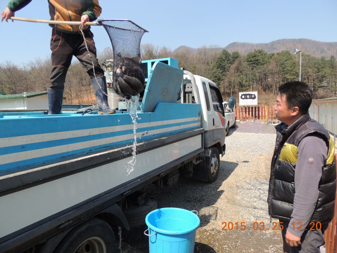 DSCN3924.JPG