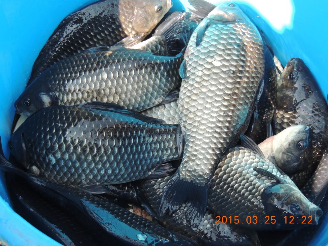DSCN3930.JPG