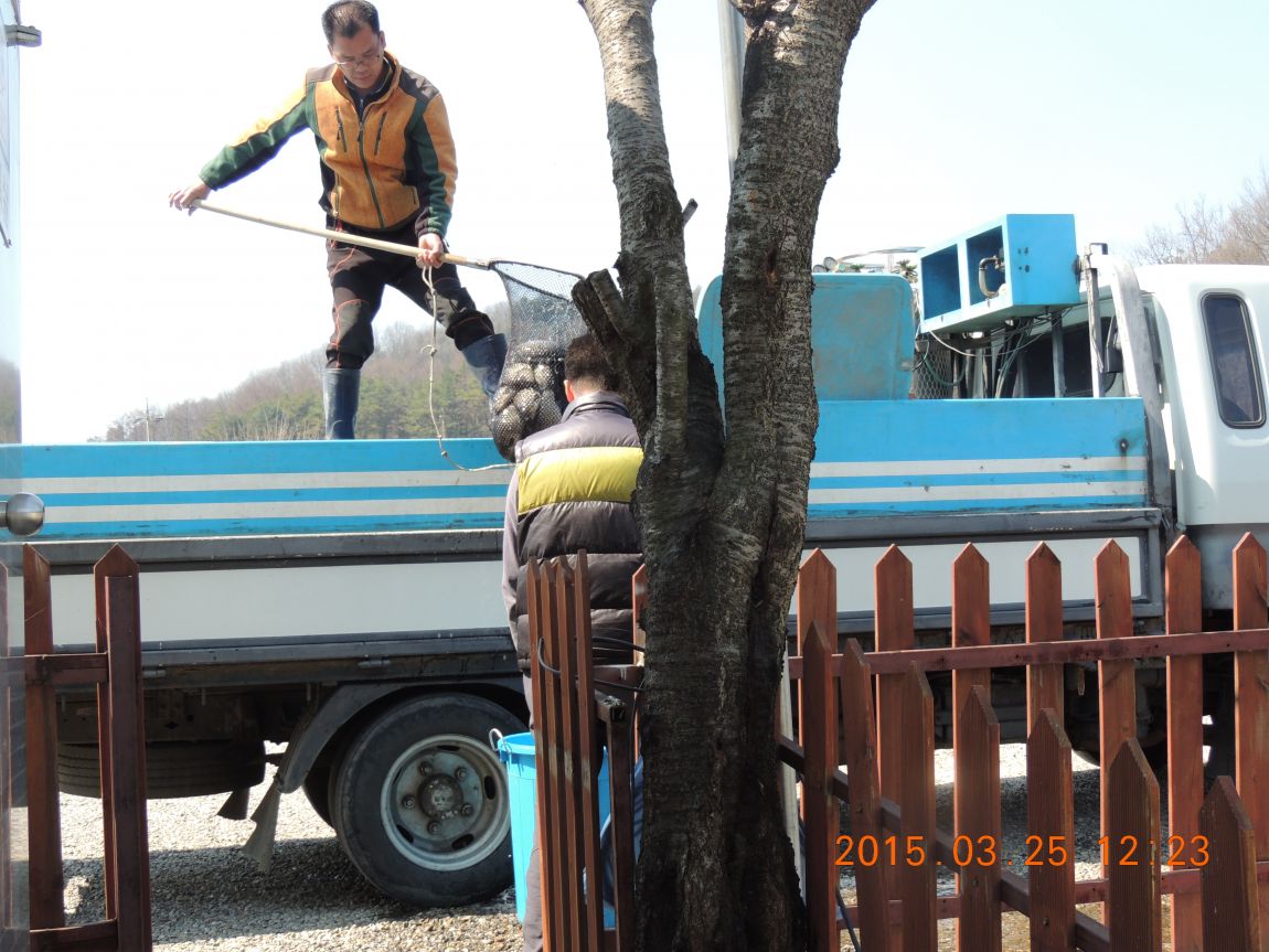 DSCN3932.JPG