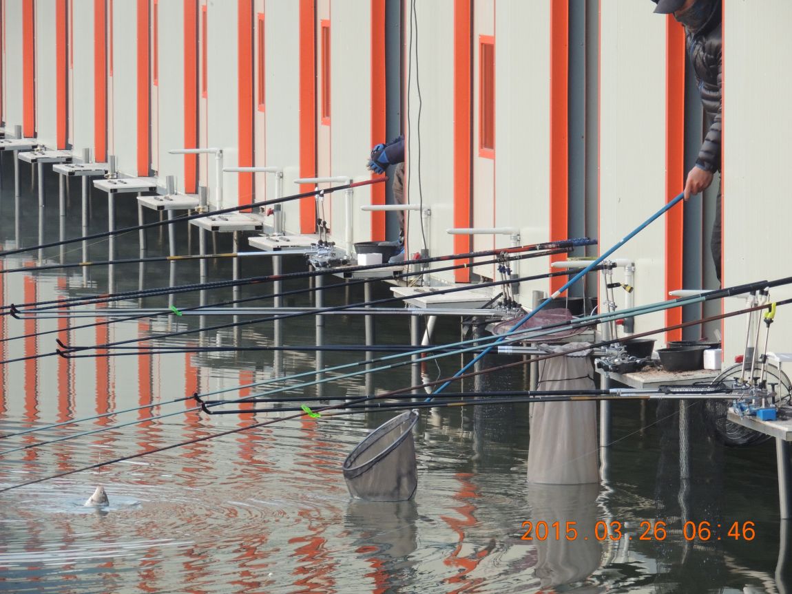 DSCN3938.JPG