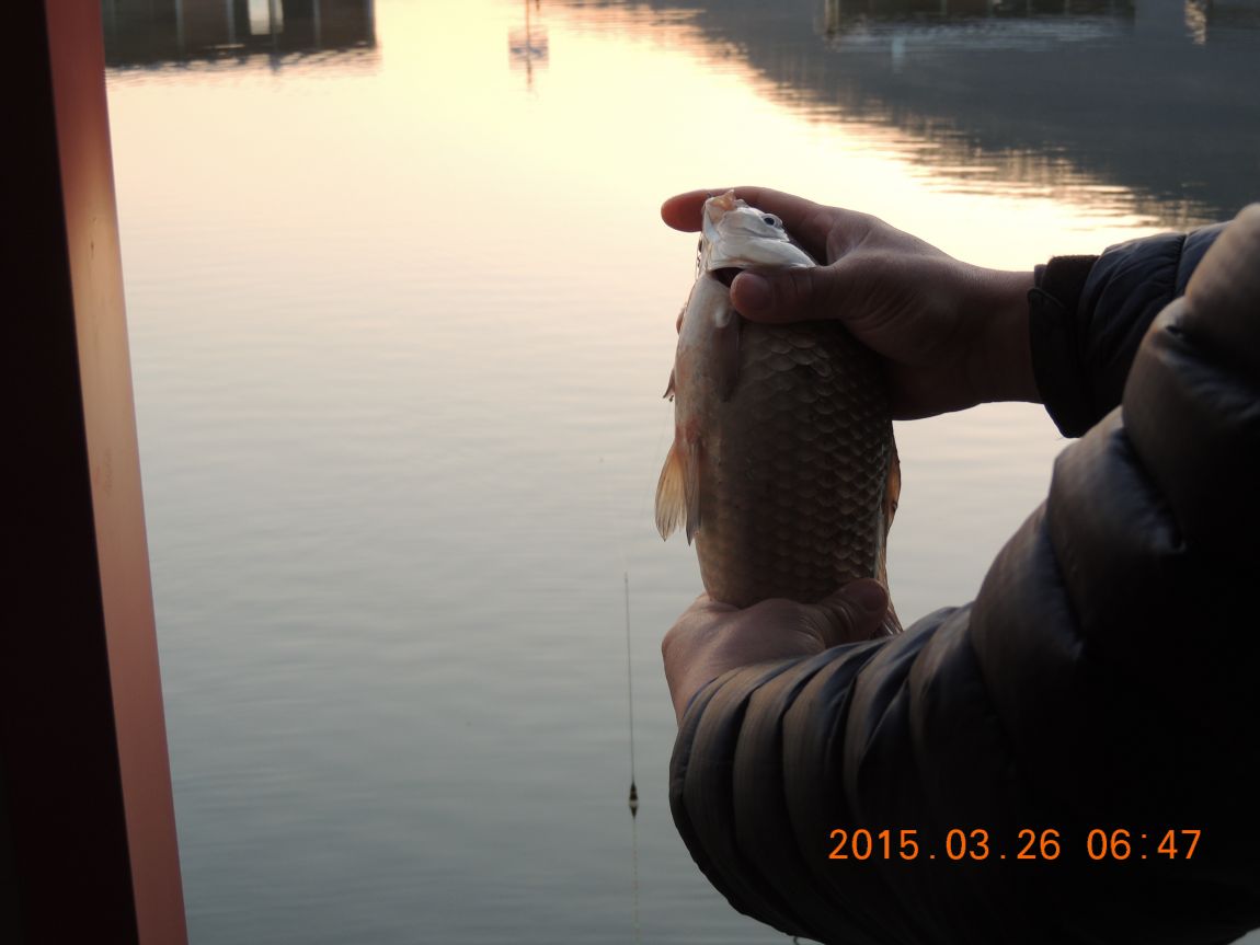 DSCN3940.JPG
