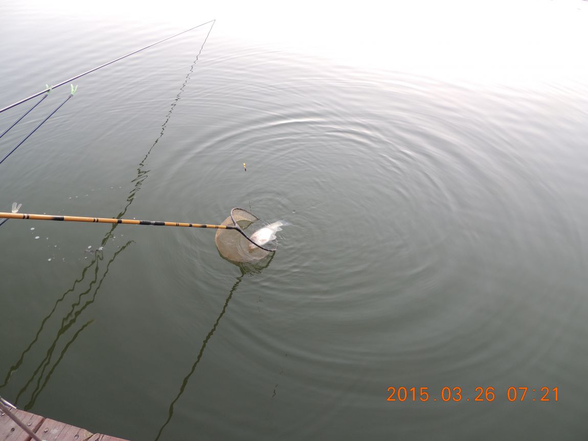 DSCN3942.JPG
