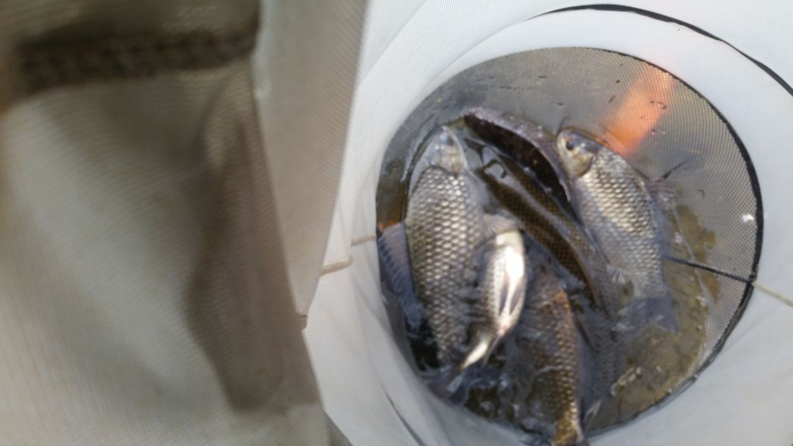 20150329_144152.jpg