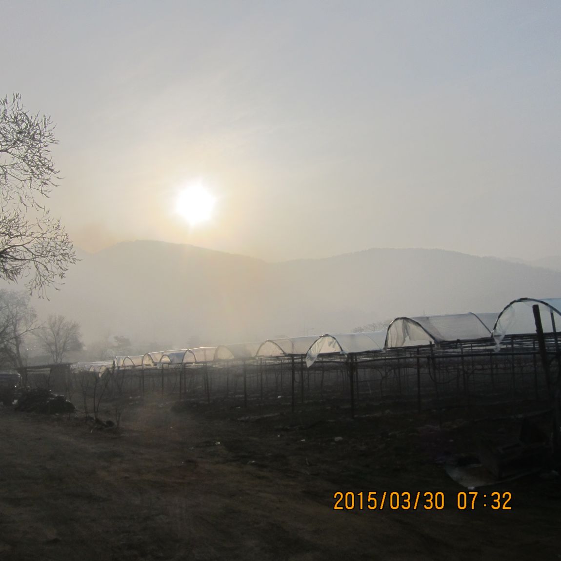 IMG_2859.JPG