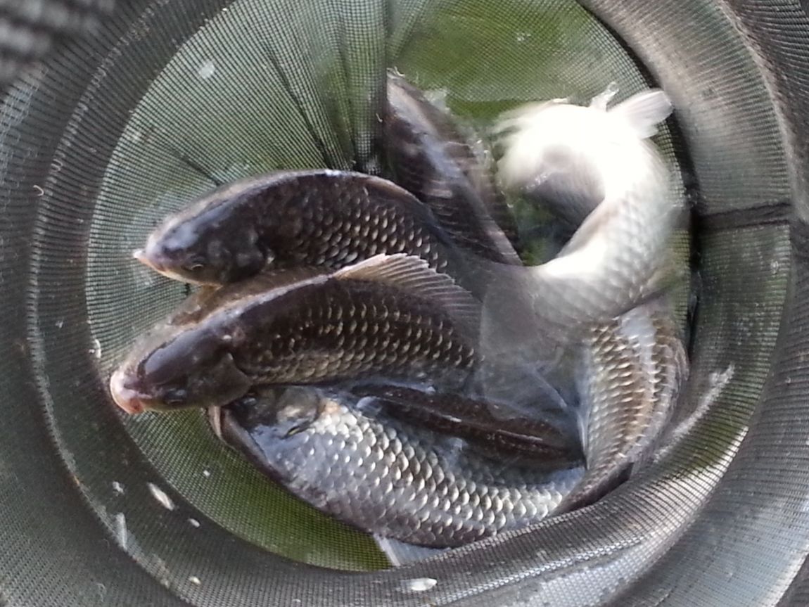 20150326_175100.jpg