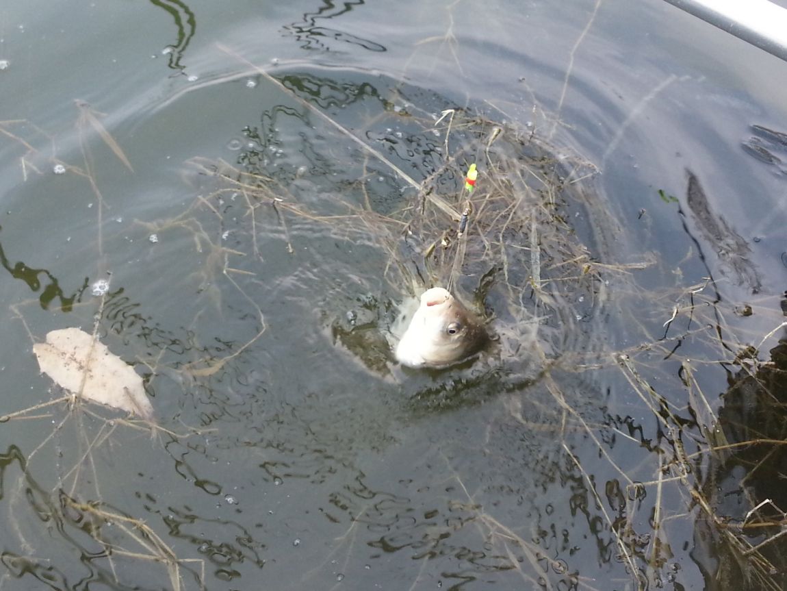 20150327_160526.jpg