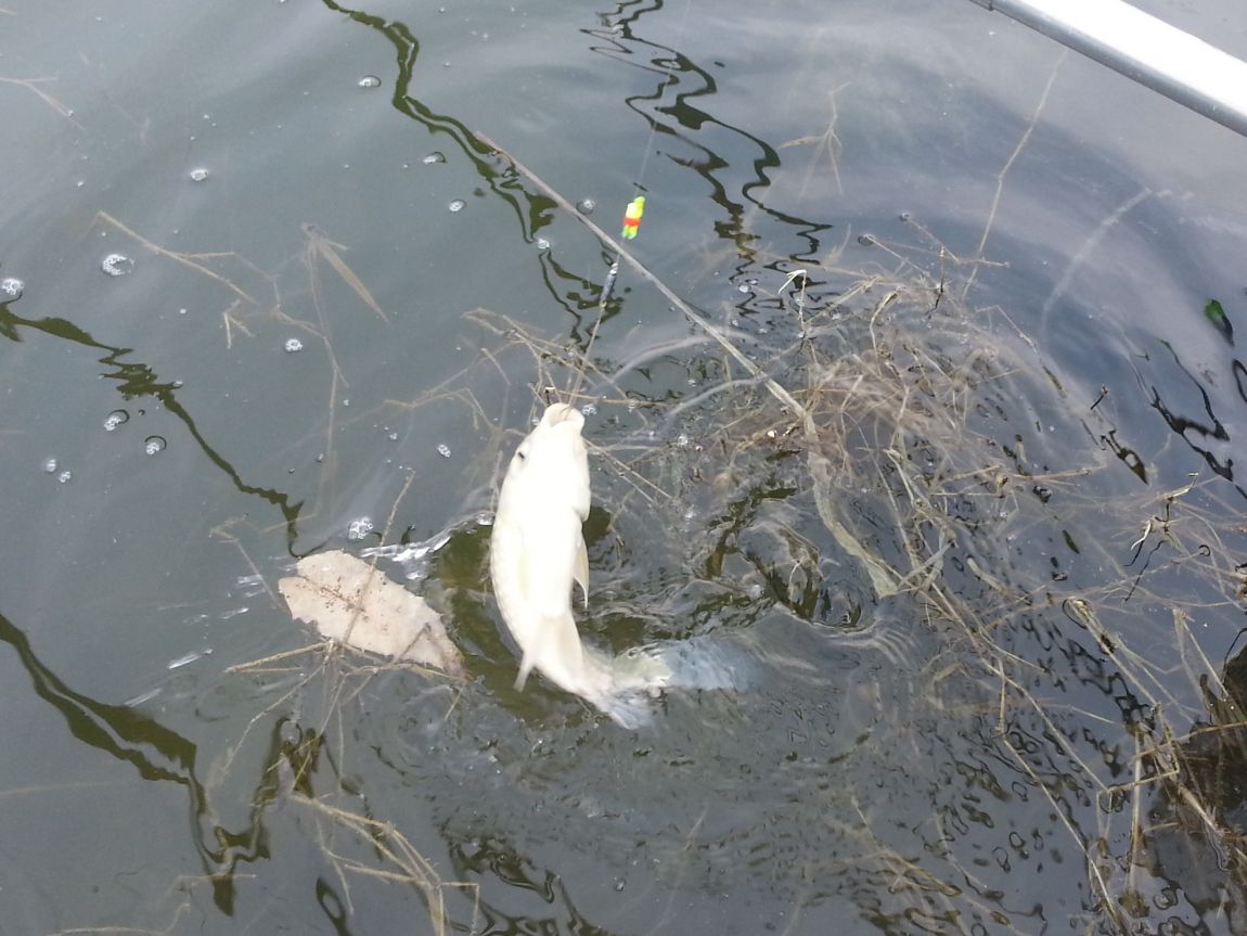 20150327_160525.jpg
