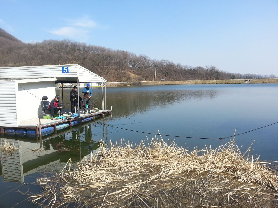20150328_144959.jpg