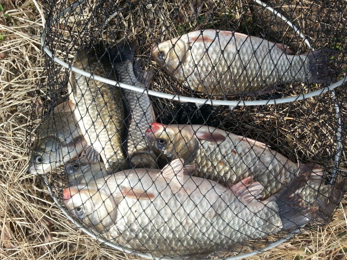 20150330_090946.jpg