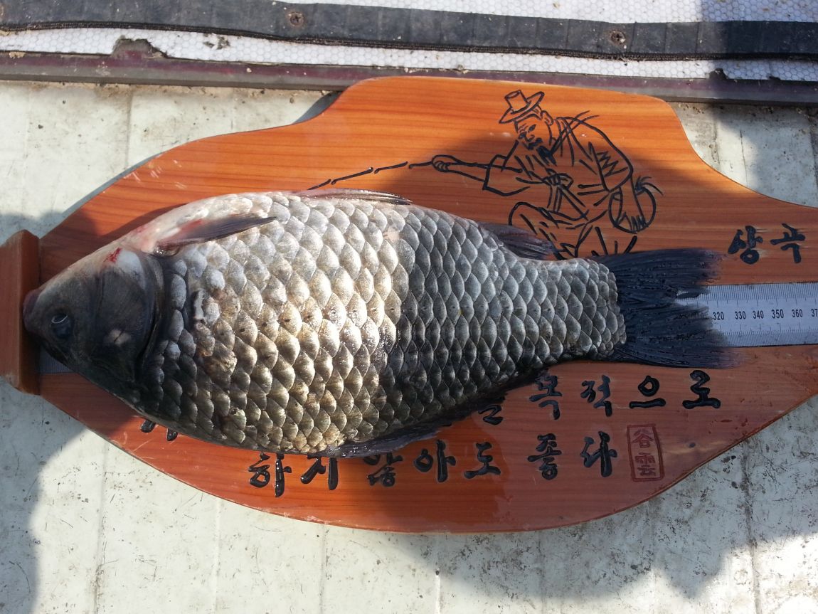 20150328_120243.jpg