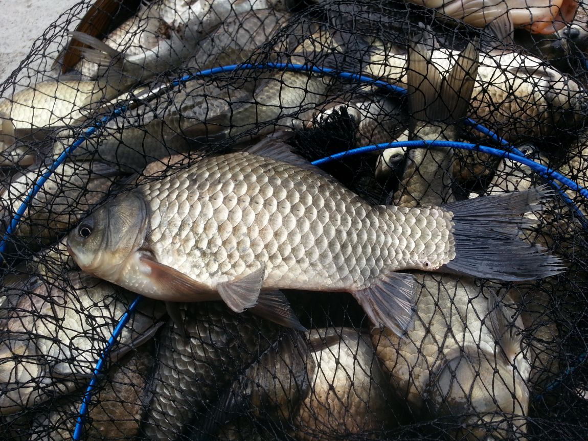 20150329_100034.jpg