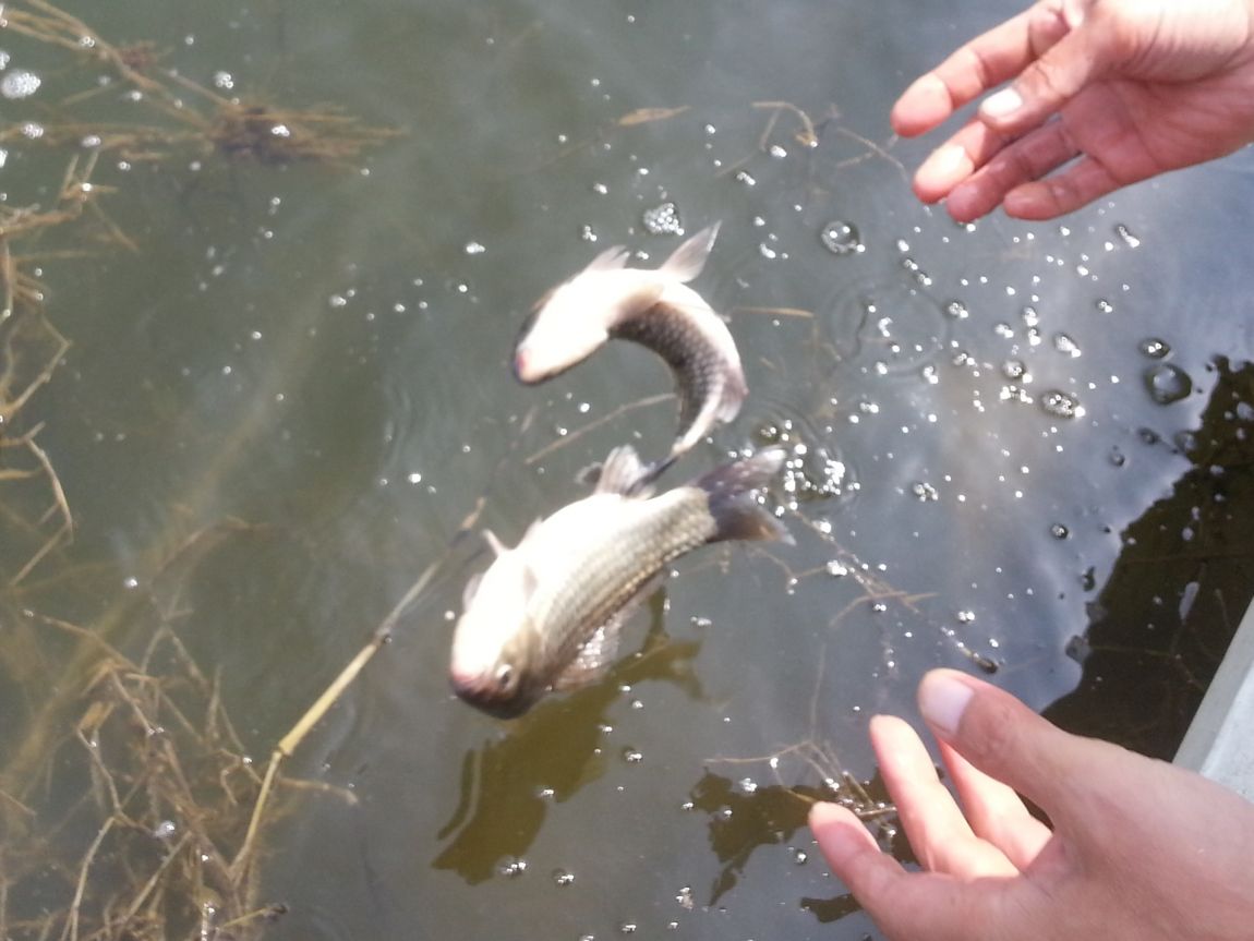 20150328_120253.jpg