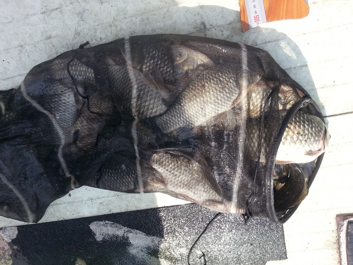 20150328_120157.jpg