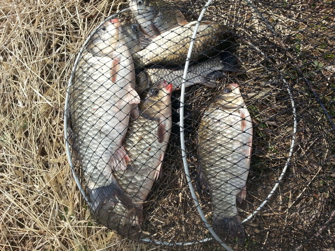 20150330_090942.jpg