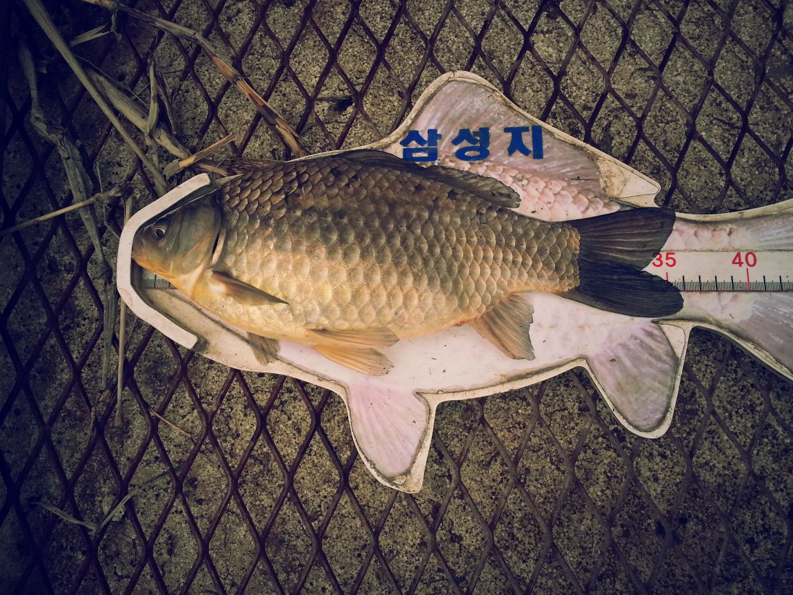 20150331_092558.jpg