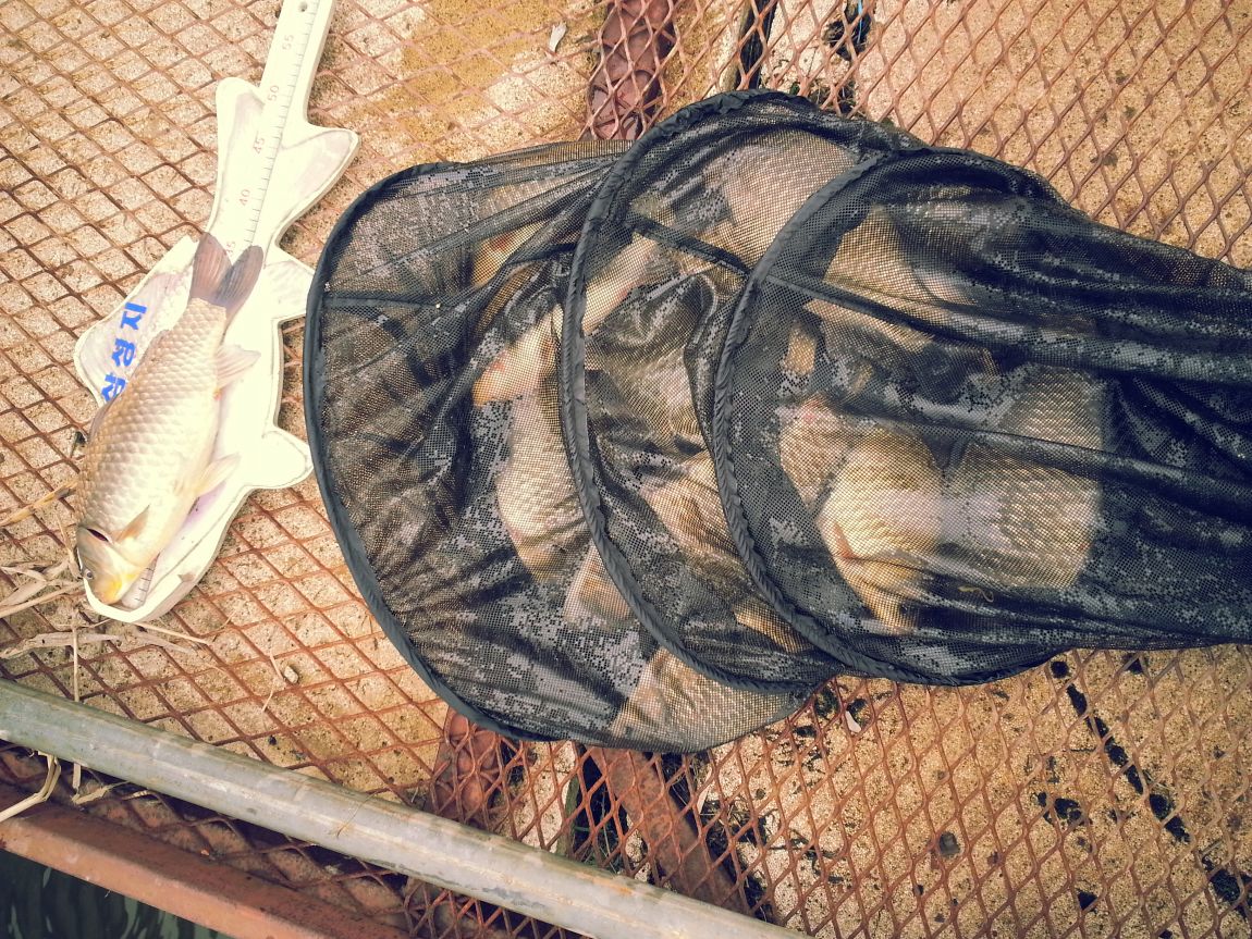 20150331_092612.jpg