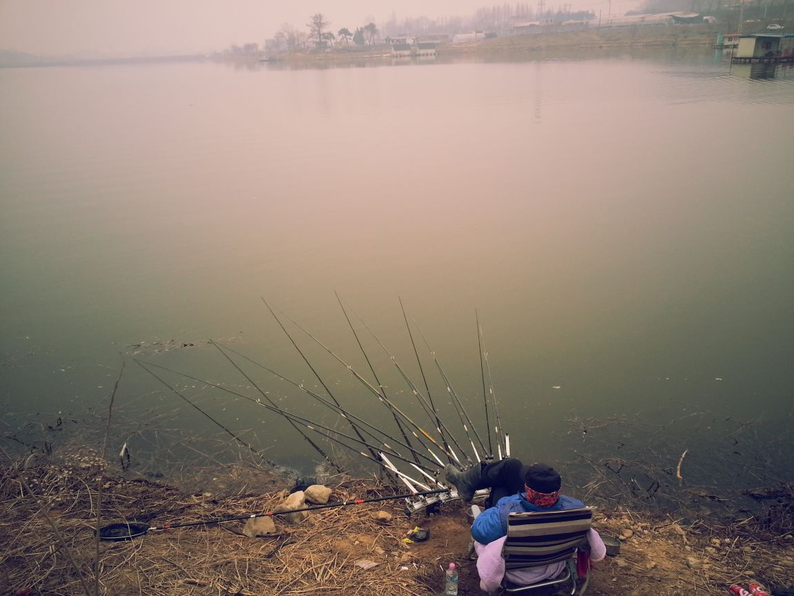 20150331_095950.jpg