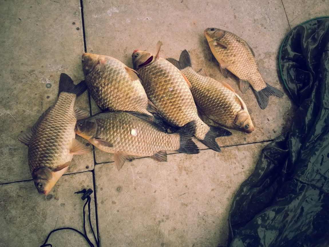 20150331_101301.jpg