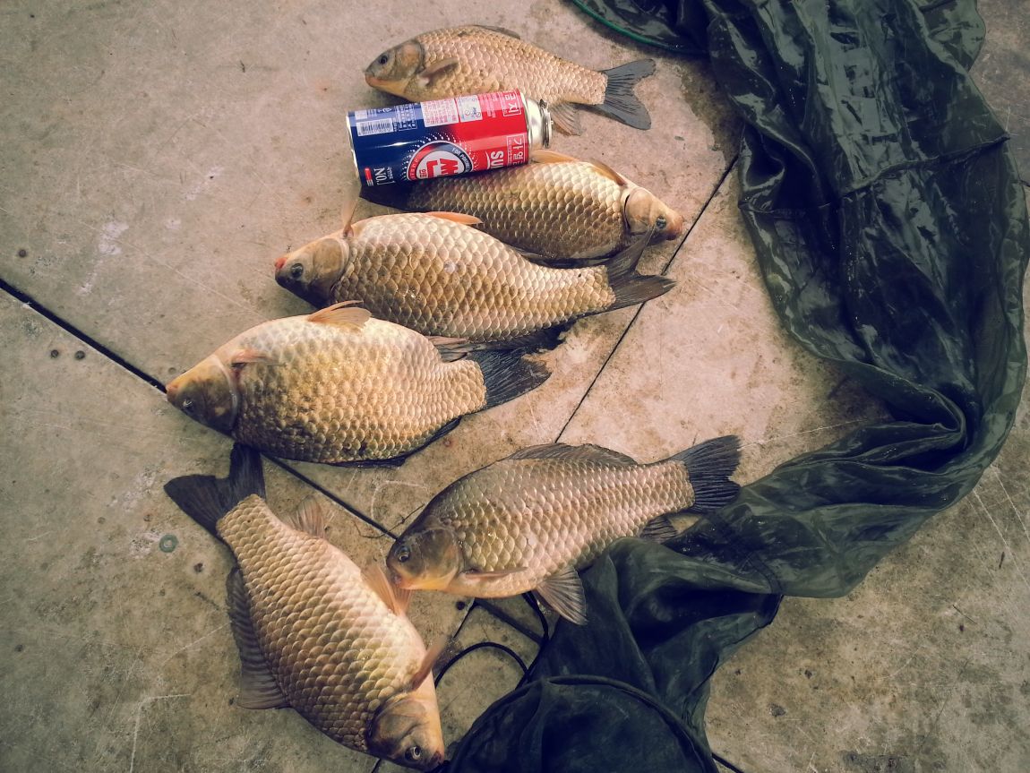 20150331_101319.jpg