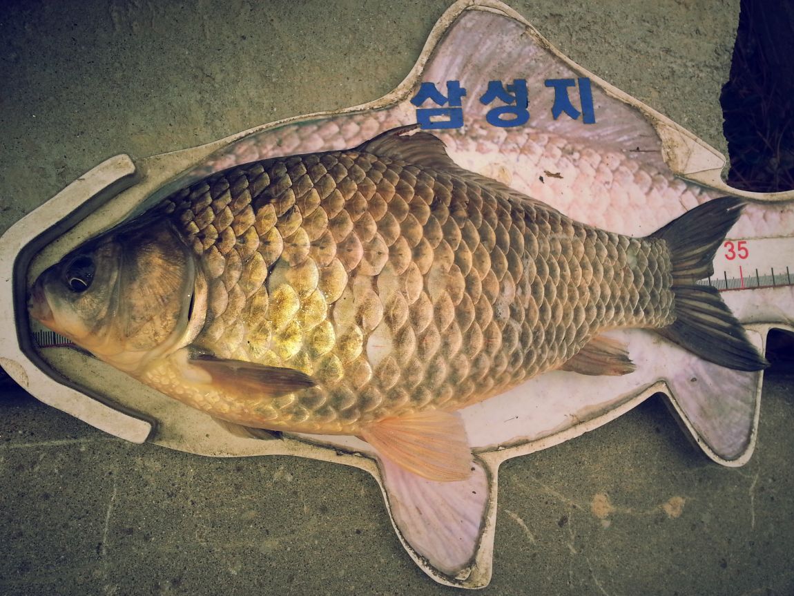 20150331_102034.jpg