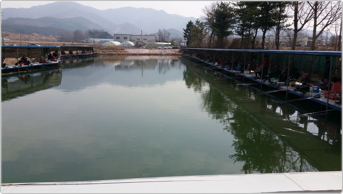 20150328_125558.jpg