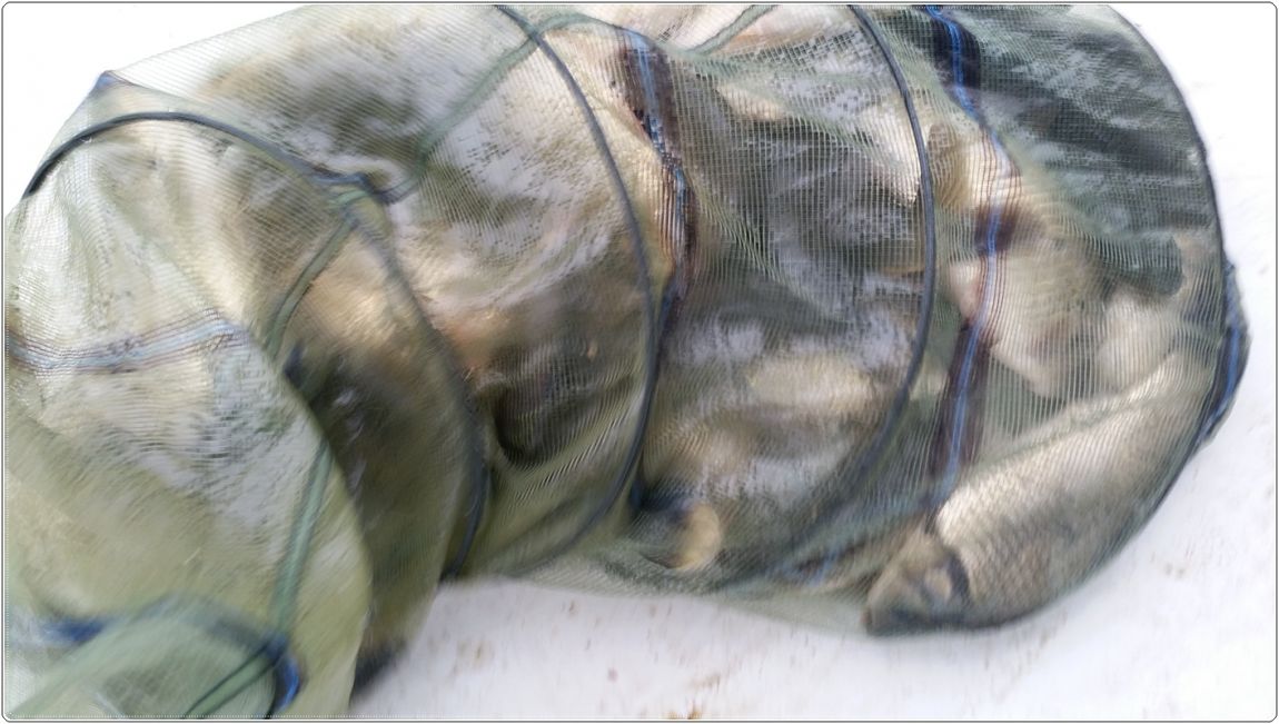 20150331_085353.jpg