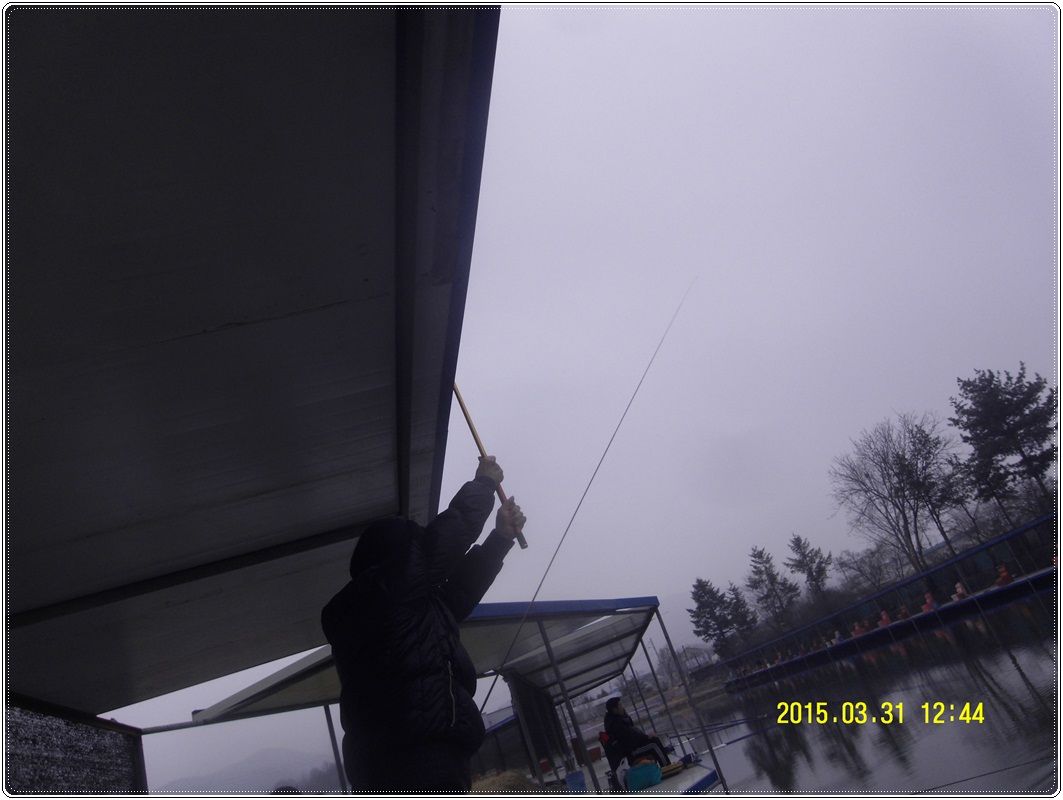 SDC10033.JPG