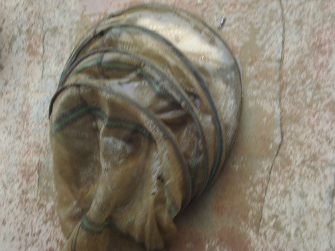 2015-4-1 049.JPG