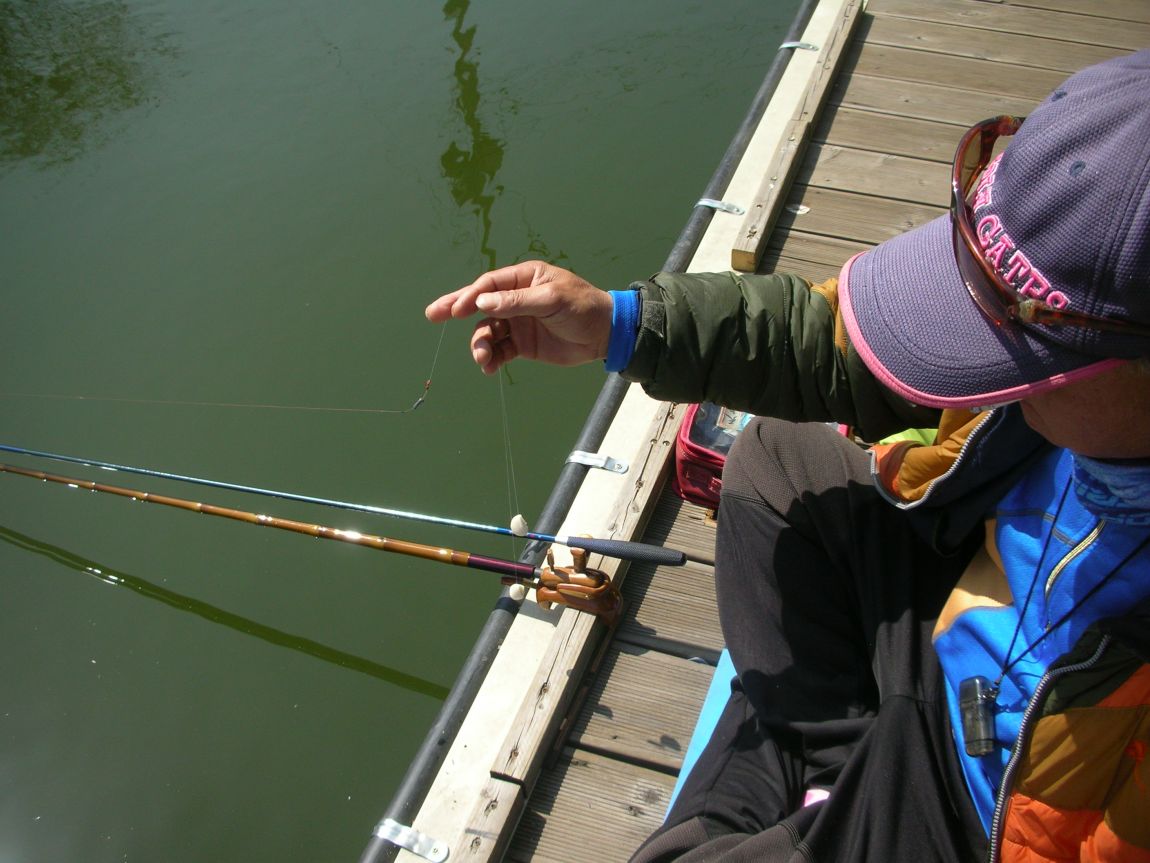 DSCN3430.JPG