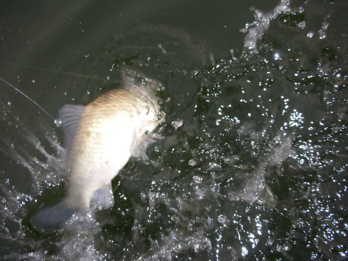 DSCN3432.JPG