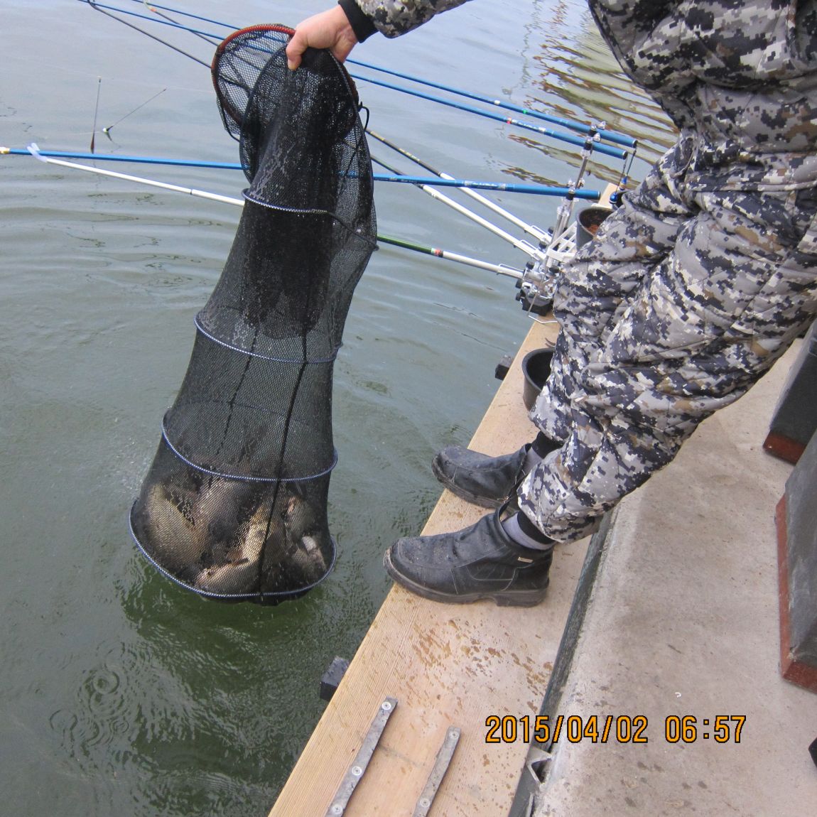 IMG_2895.JPG