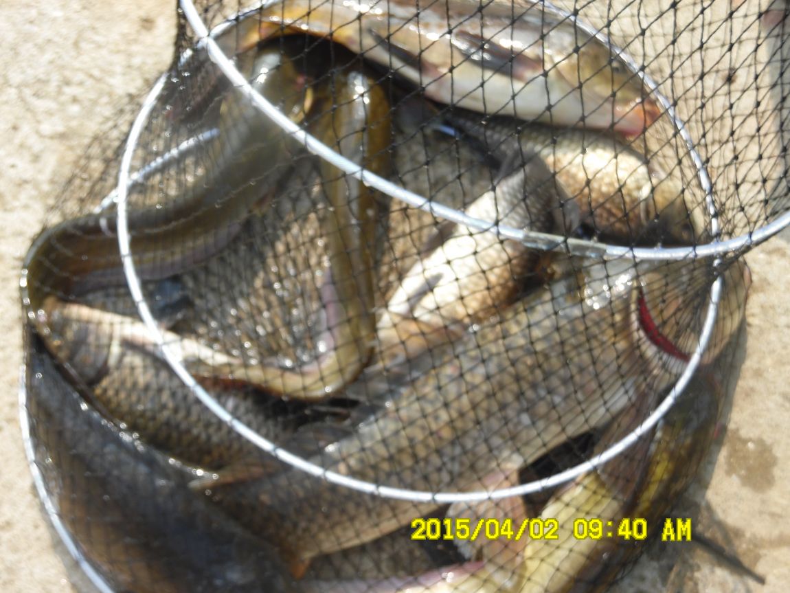 4��1�� ��Ȳ 076.JPG