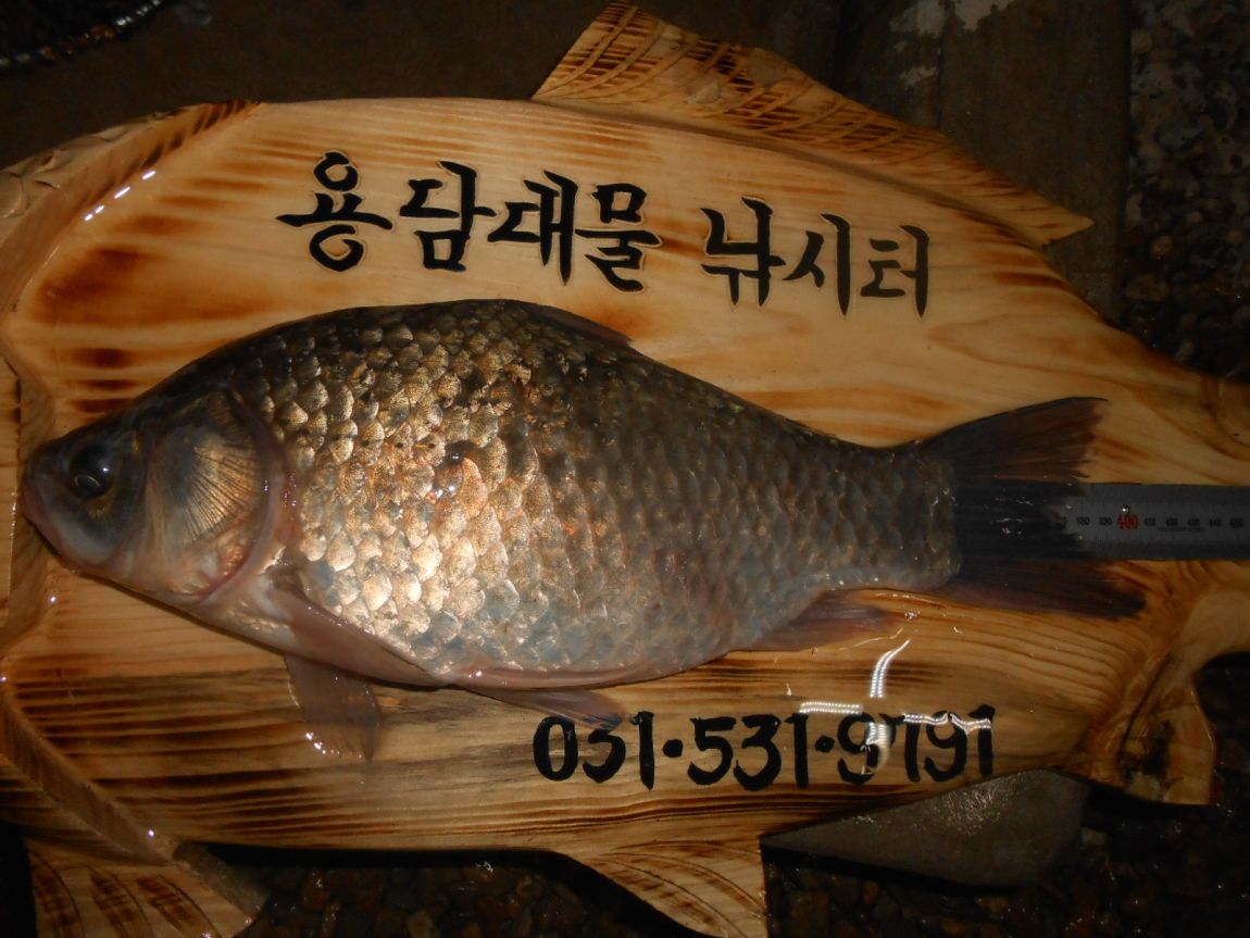DSCN3169.JPG