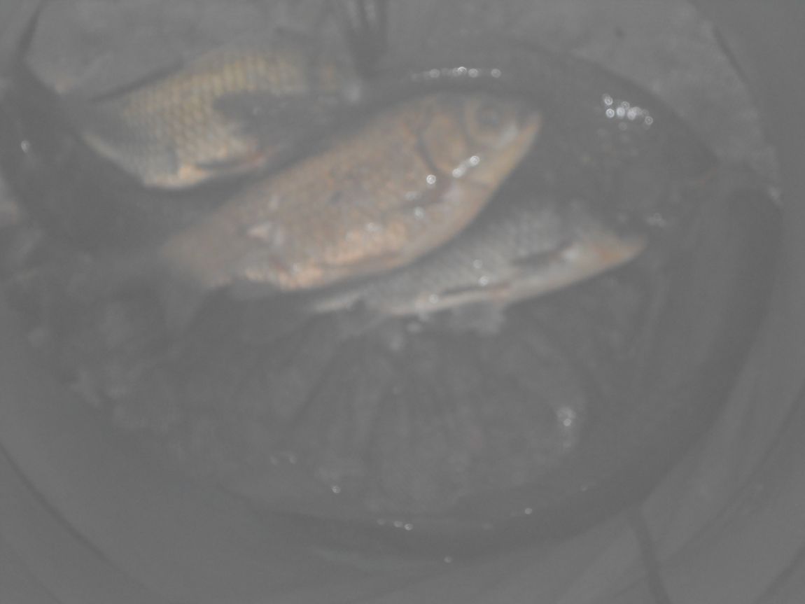 DSCN3176.JPG